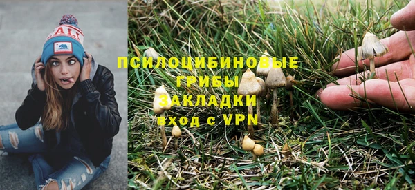 мяу мяу мука Алексеевка