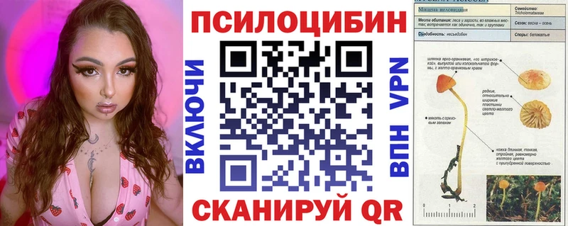 хочу наркоту  hydra зеркало  Галлюциногенные грибы ЛСД  Гвардейск 